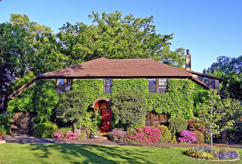 Green houses Green houses