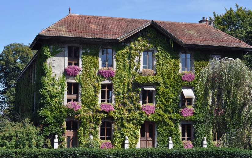 Green houses Green houses