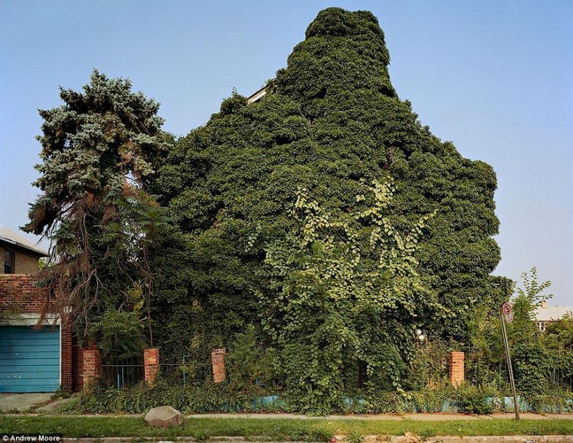 Green houses Green houses