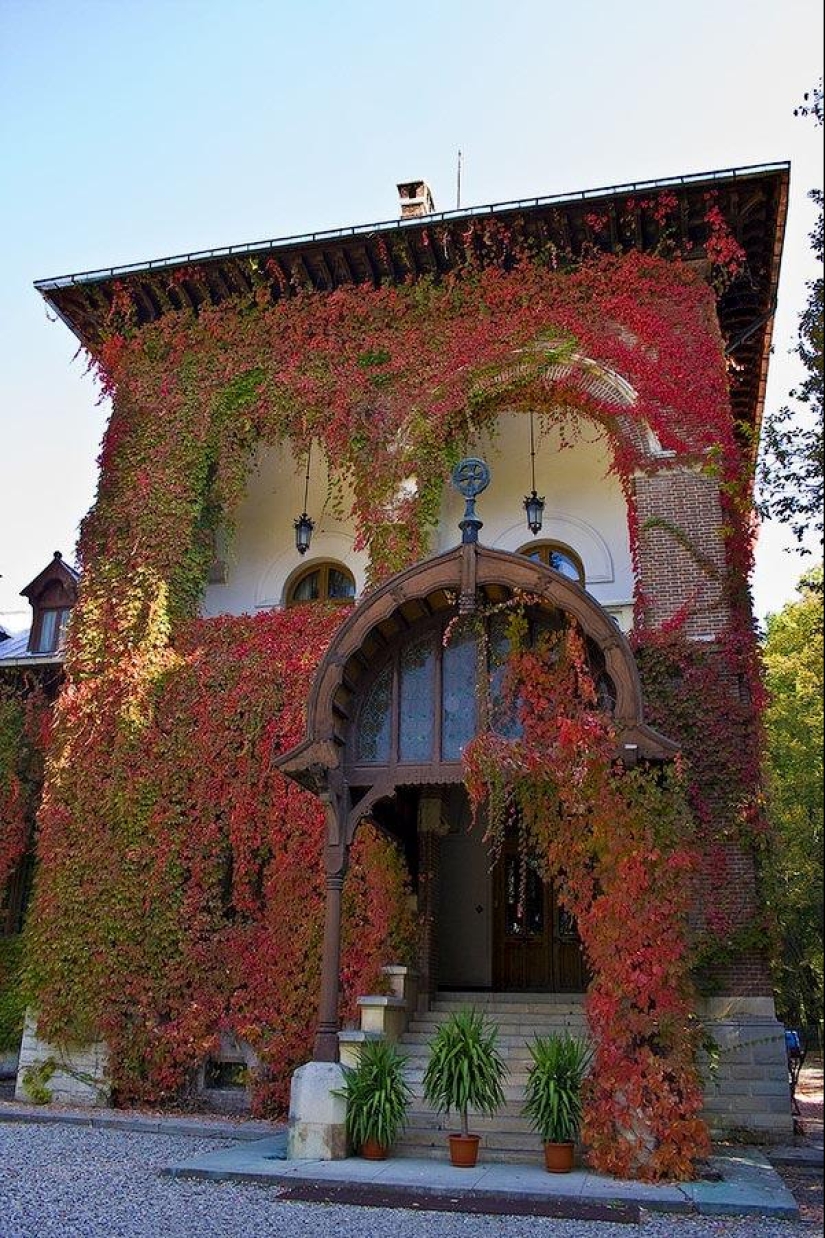 Green houses Green houses