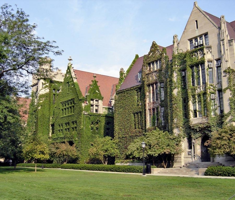 Green houses Green houses