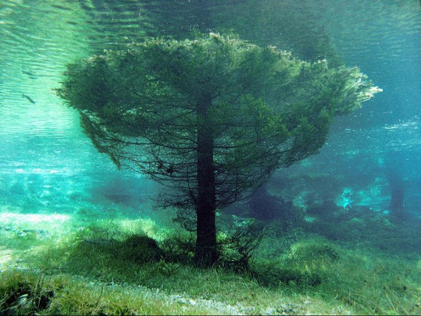 Green Lake Ghost Park