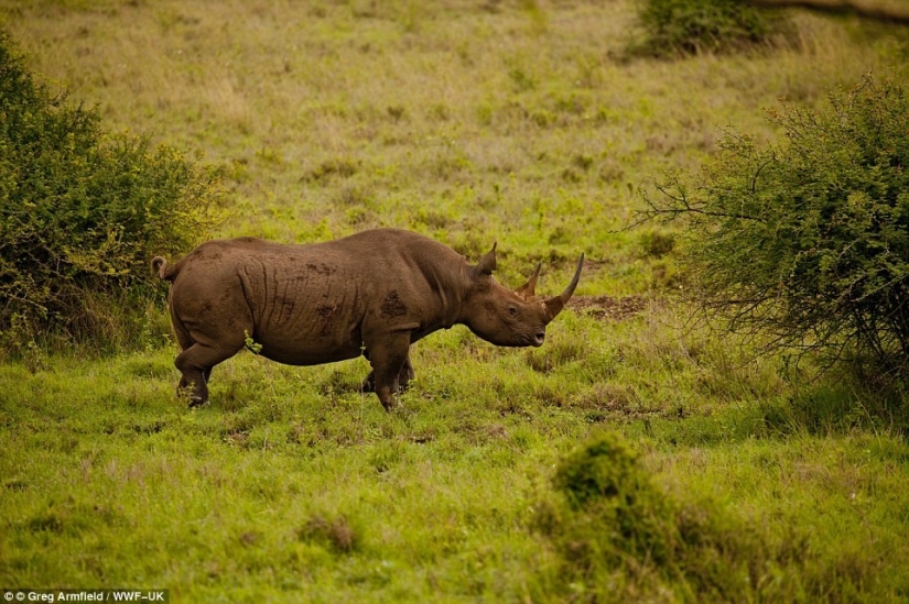 “¡Greg, date la vuelta!”: el fotógrafo contó cómo fue ridiculizado en las redes por el fracaso imaginario “¡Greg, date la vuelta!”: el fotógrafo contó cómo fue ridiculizado en las redes por el fracaso imaginario