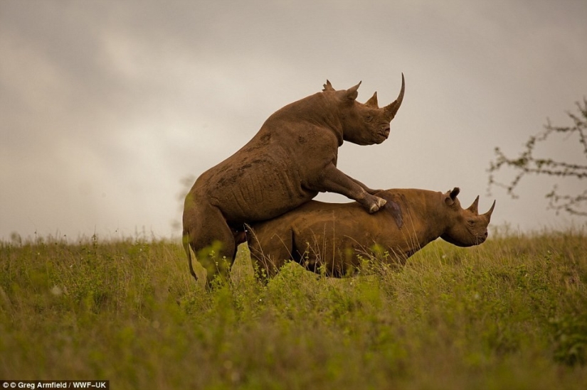 “¡Greg, date la vuelta!”: el fotógrafo contó cómo fue ridiculizado en las redes por el fracaso imaginario “¡Greg, date la vuelta!”: el fotógrafo contó cómo fue ridiculizado en las redes por el fracaso imaginario