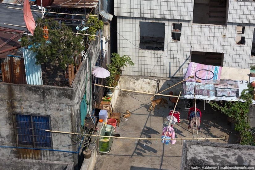 Guangzhou: Roofs and Slums
