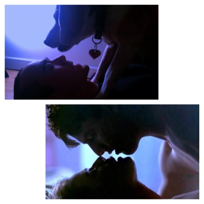 Guy recrea escenas de películas famosas con su perro