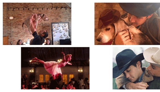 Guy recrea escenas de películas famosas con su perro Guy recrea escenas de películas famosas con su perro