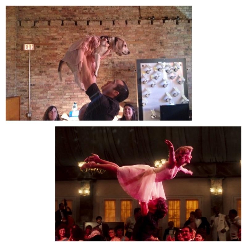 Guy recreates famous movie scenes with his dog