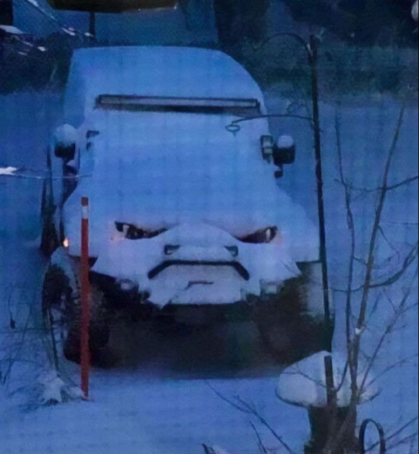 Hacen de todo y no se arrepienten: 10 fotos con locura Hacen de todo y no se arrepienten: 10 fotos con locura