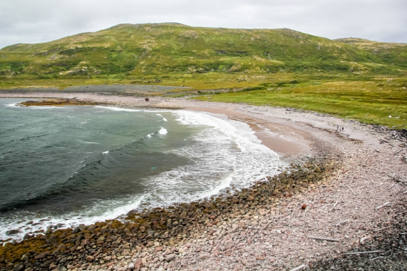 ¡Hacer surf en Rusia es una realidad! ¡Hacer surf en Rusia es una realidad!