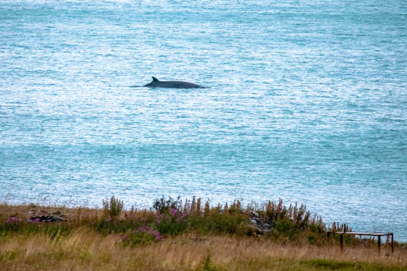 ¡Hacer surf en Rusia es una realidad! ¡Hacer surf en Rusia es una realidad!