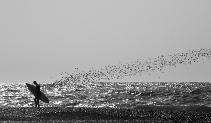 ¡Hacer surf en Rusia es una realidad! ¡Hacer surf en Rusia es una realidad!