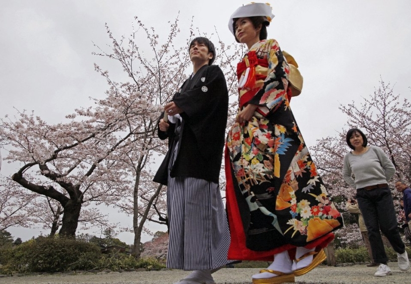 Hanami is a Japanese tradition of cherry blossom viewing.