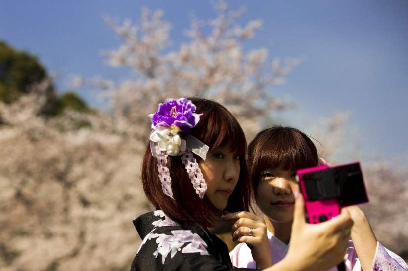 Hanami is a Japanese tradition of cherry blossom viewing.