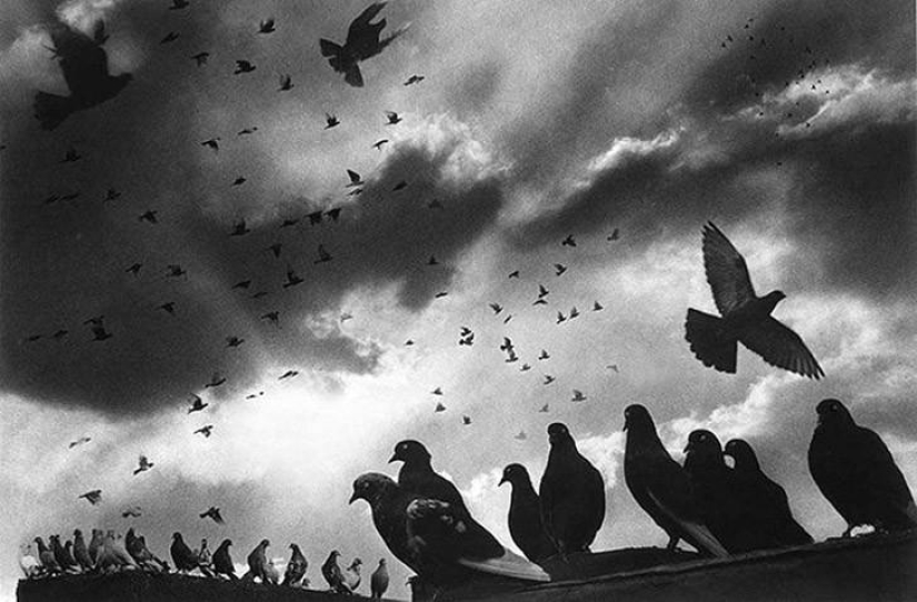 Harold Feinstein - la leyenda de la fotografía callejera Harold Feinstein - la leyenda de la fotografía callejera