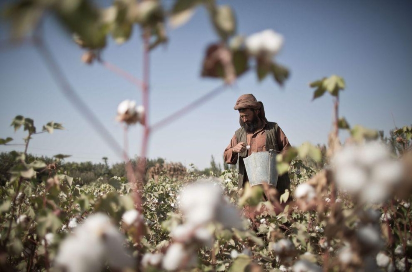 Harvest 2013 Harvest 2013