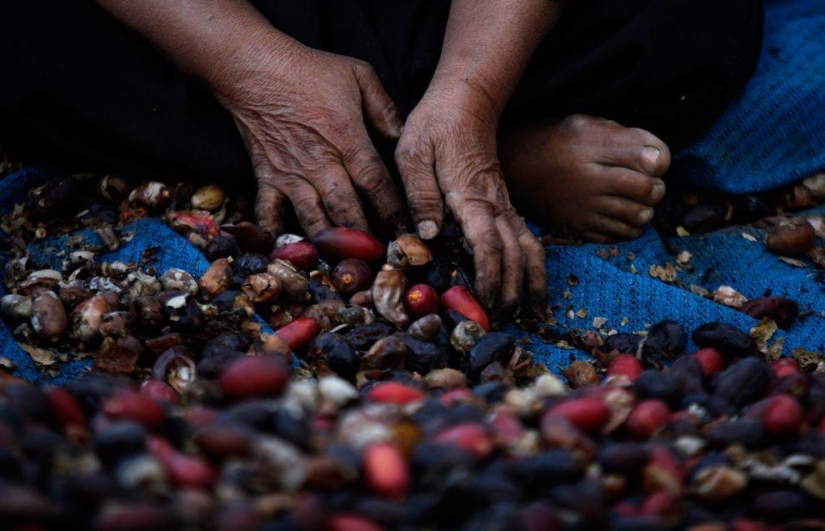 Harvest 2013 Harvest 2013