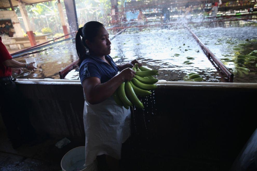Harvest 2013 Harvest 2013
