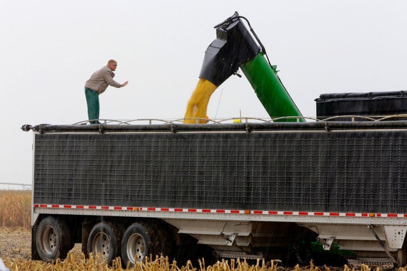 Harvest 2013 Harvest 2013