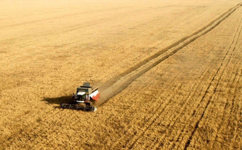 Harvest 2013 Harvest 2013