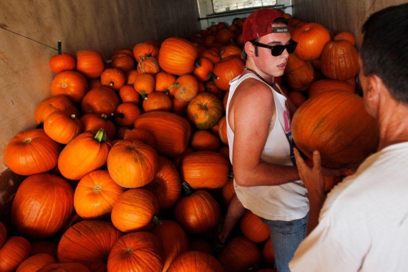 Harvest 2013 Harvest 2013