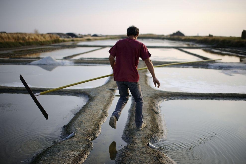Harvest 2013 Harvest 2013