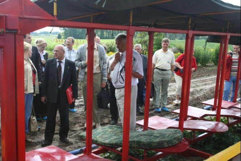 Harvesting cucumbers in Belarusian Harvesting cucumbers in Belarusian