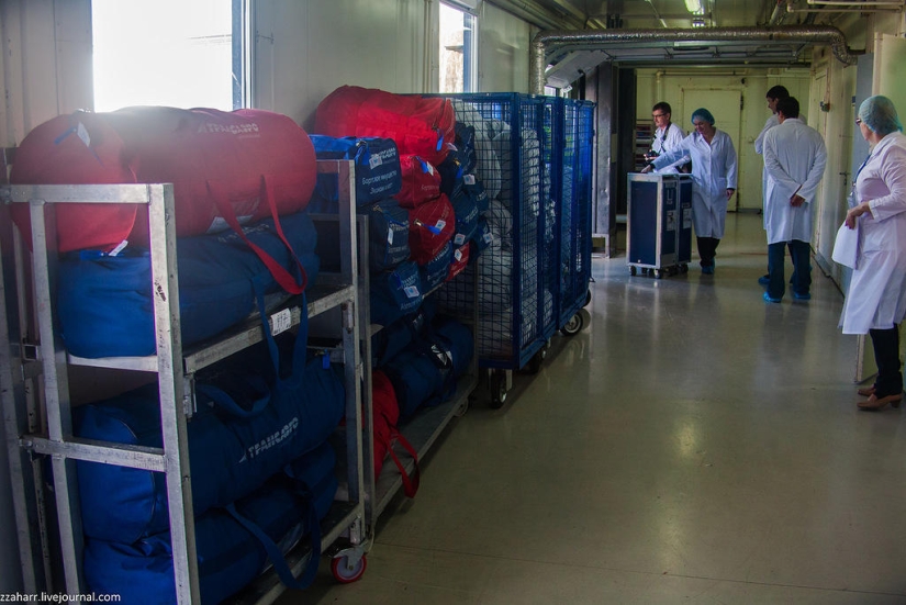 Haute Cuisine: Koltsovo Airport Catering Haute Cuisine: Koltsovo Airport Catering