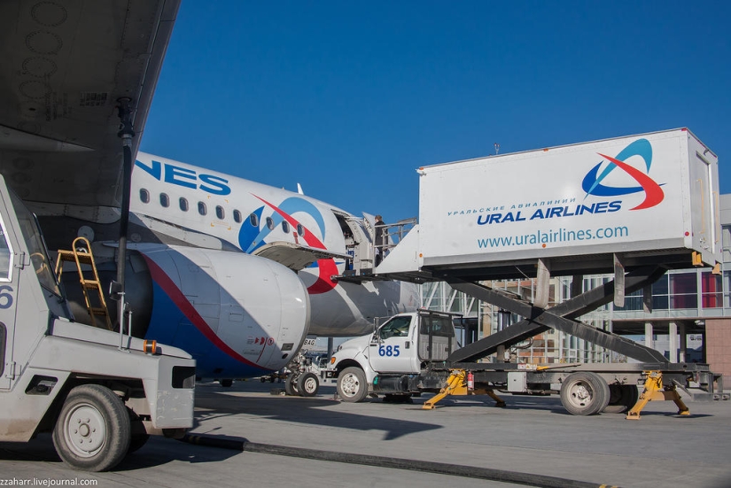 Haute Cuisine: Koltsovo Airport Catering Haute Cuisine: Koltsovo Airport Catering