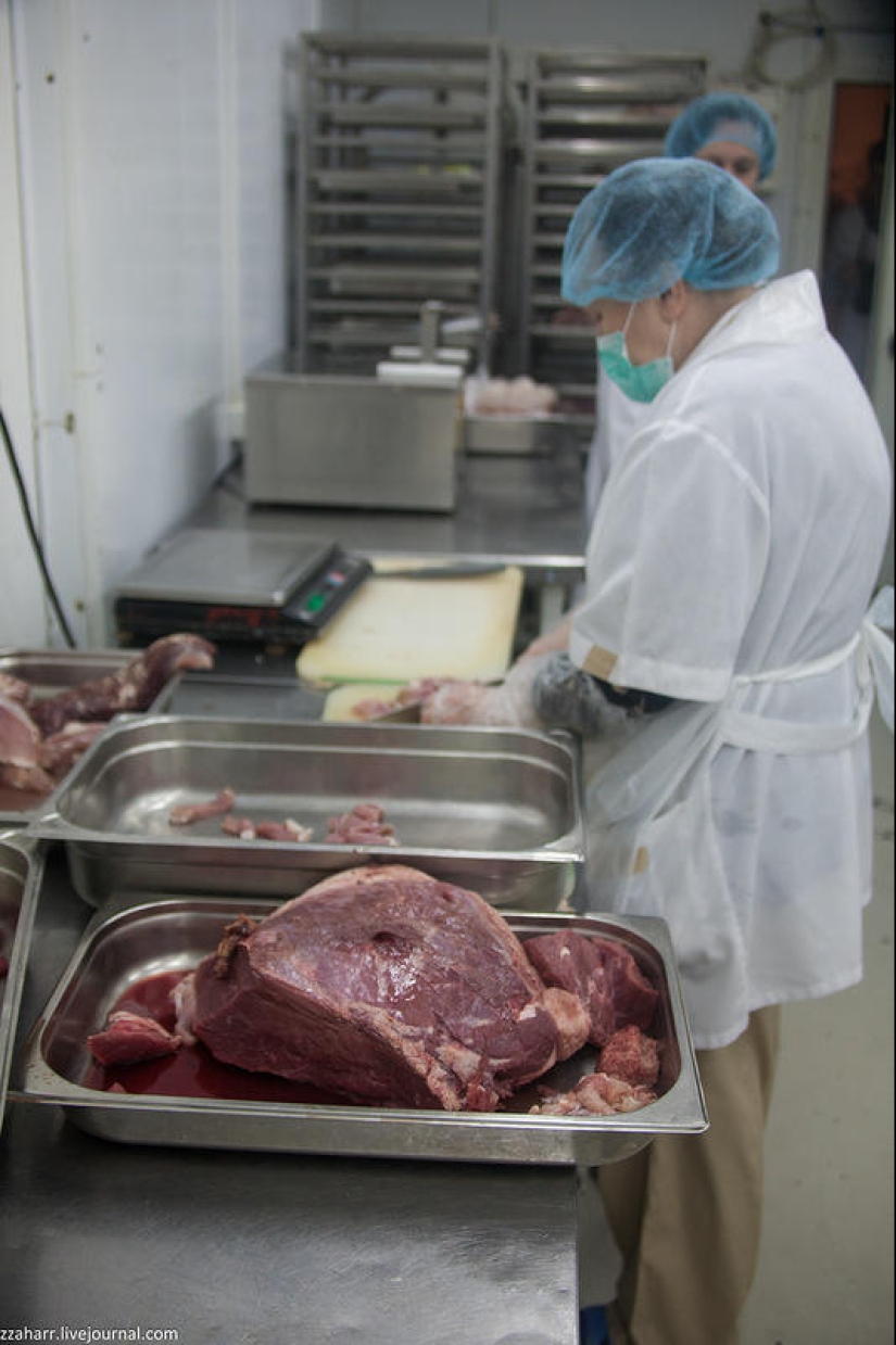 Haute Cuisine: Koltsovo Airport Catering Haute Cuisine: Koltsovo Airport Catering