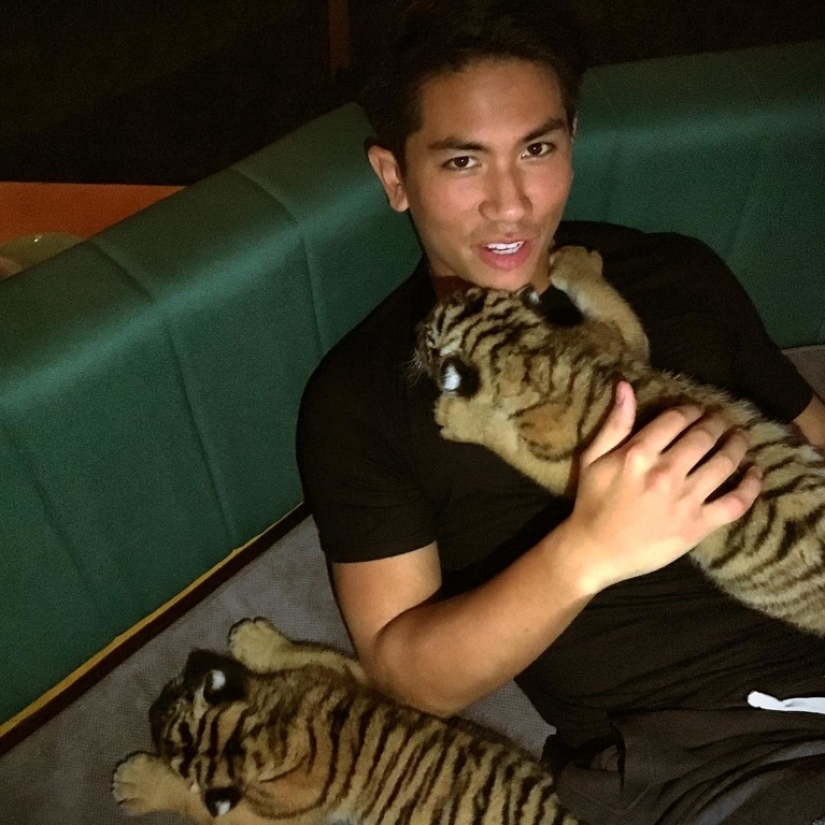 He is on a horse, but you are not: the Muslim prince is recognized as the most desirable bachelor of the planet He is on a horse, but you are not: the Muslim prince is recognized as the most desirable bachelor of the planet