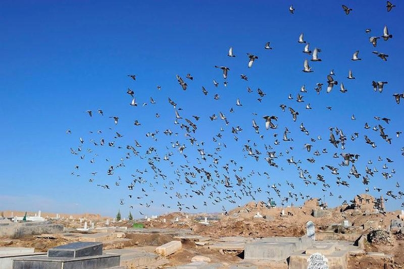 heroin state heroin state