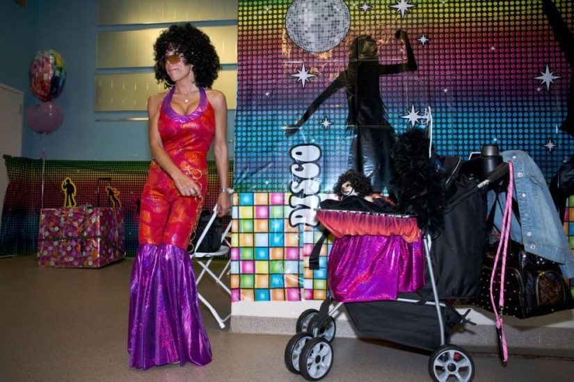 High fashion for dogs