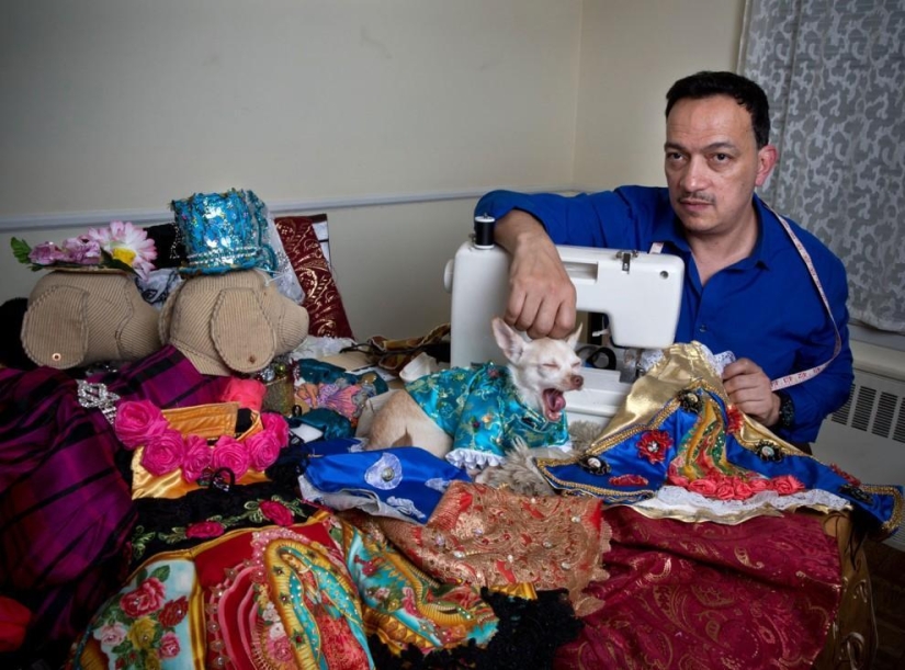 High fashion for dogs