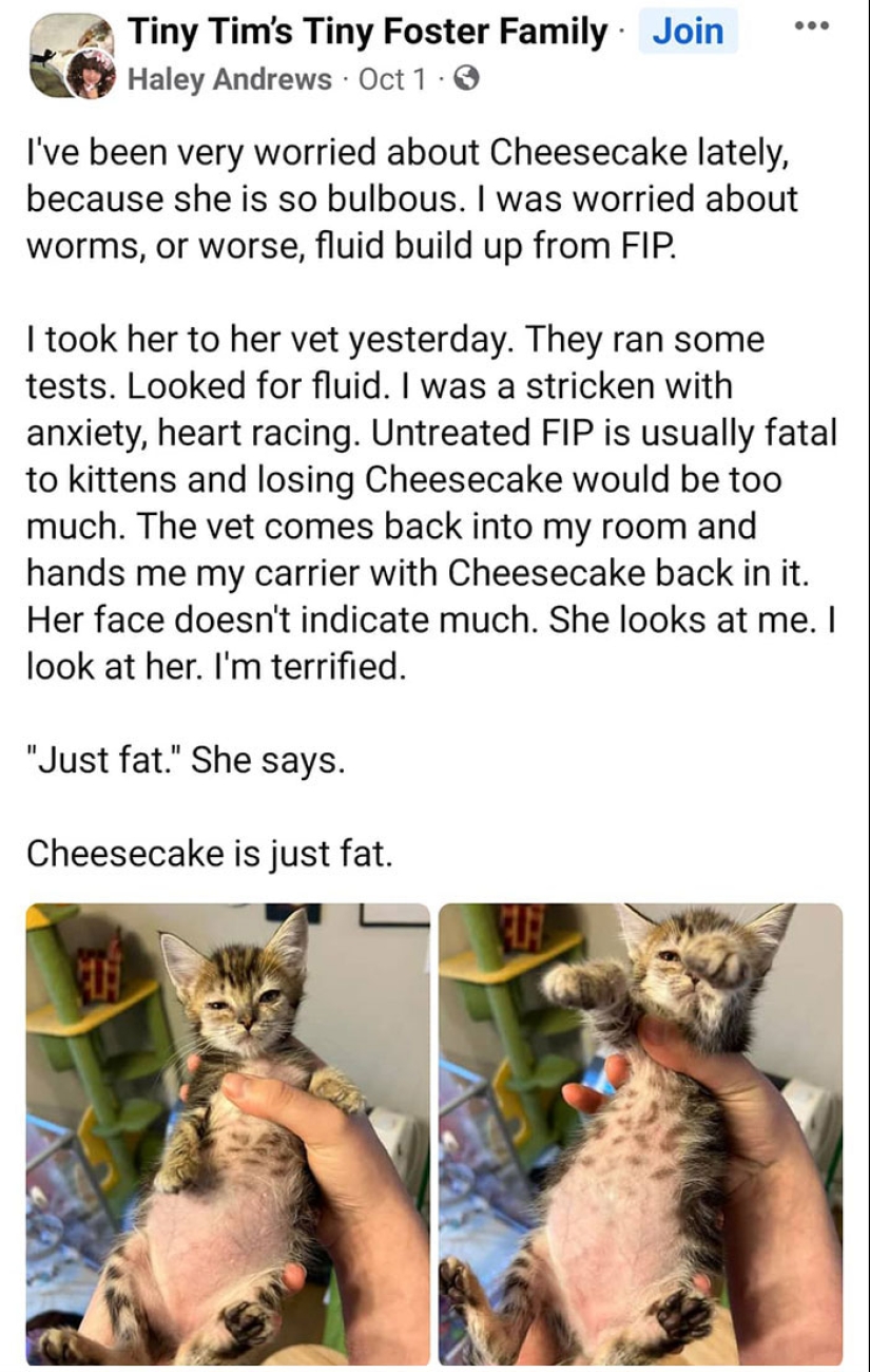 Hilarious And Wholesome Moments That Vets Have Experienced At Work Hilarious And Wholesome Moments That Vets Have Experienced At Work