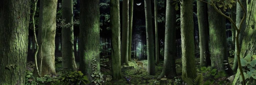 Hipnotizando a los niños digitales de Ruud Van Empel Hipnotizando a los niños digitales de Ruud Van Empel