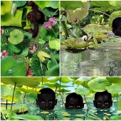 Hipnotizando a los niños digitales de Ruud Van Empel