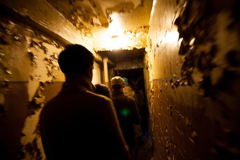 Hipster's Nest is a secret bar in Manhattan