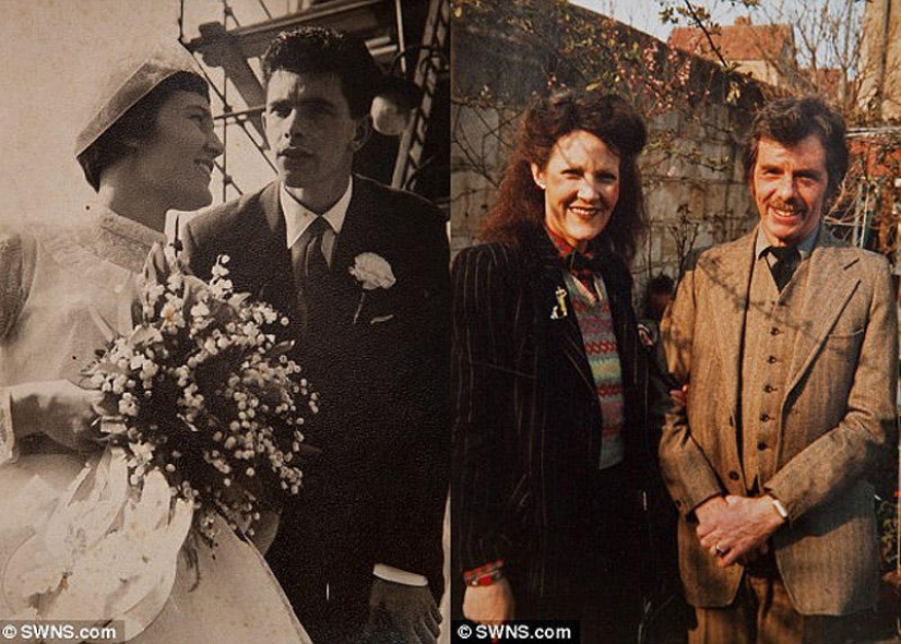 hipsters jubilados hipsters jubilados