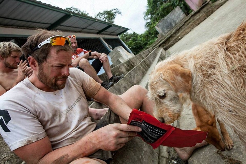 Historia del perro ganador de una carrera de aventuras