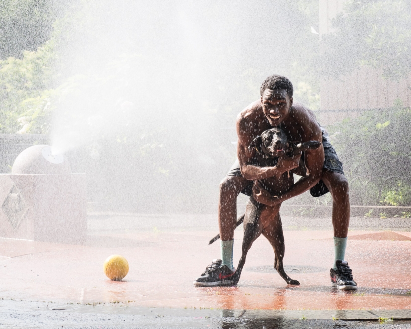 Hombres hermosos y los animales que salvaron. La dulzura es extraordinaria!