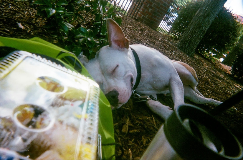 Homeless people were given 100 cameras to take pictures of their lives Homeless people were given 100 cameras to take pictures of their lives