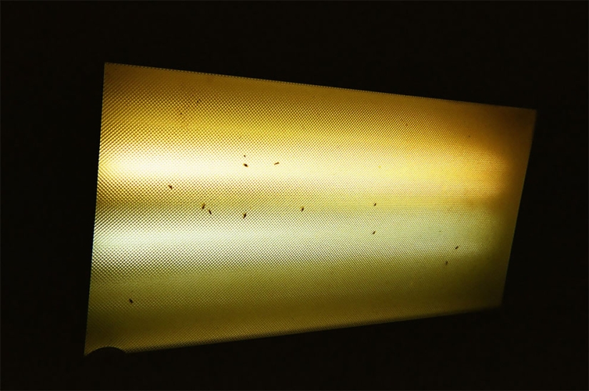 Homeless people were given 100 cameras to take pictures of their lives Homeless people were given 100 cameras to take pictures of their lives