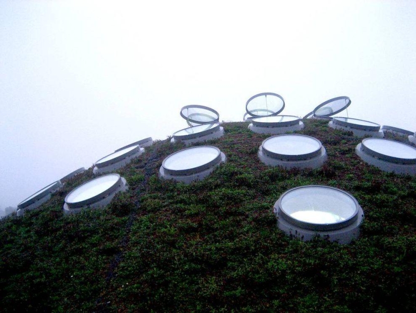 Homes for true hobbits Homes for true hobbits