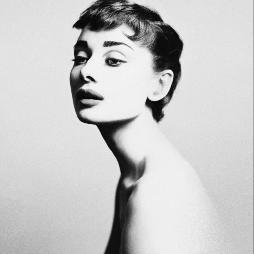 Honestidad sin medios tonos. Foto clásica Richard Avedon Honestidad sin medios tonos. Foto clásica Richard Avedon