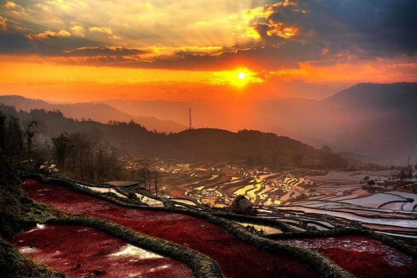 Honghe Hani Rice Terraces inscribed on the UNESCO World Heritage List