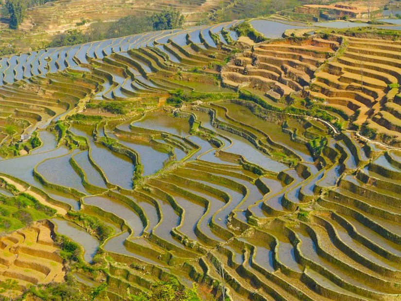 Honghe Hani Rice Terraces inscribed on the UNESCO World Heritage List