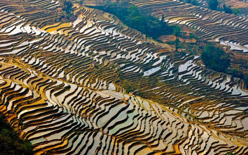 Honghe Hani Rice Terraces inscribed on the UNESCO World Heritage List
