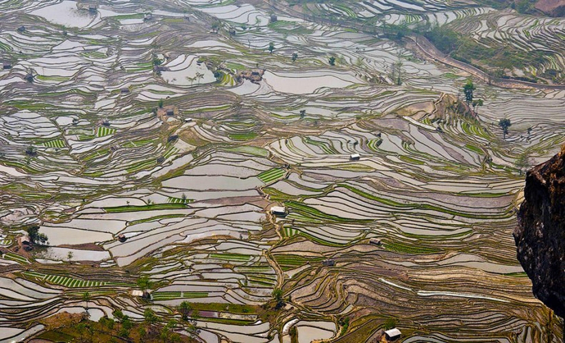 Honghe Hani Rice Terraces inscribed on the UNESCO World Heritage List