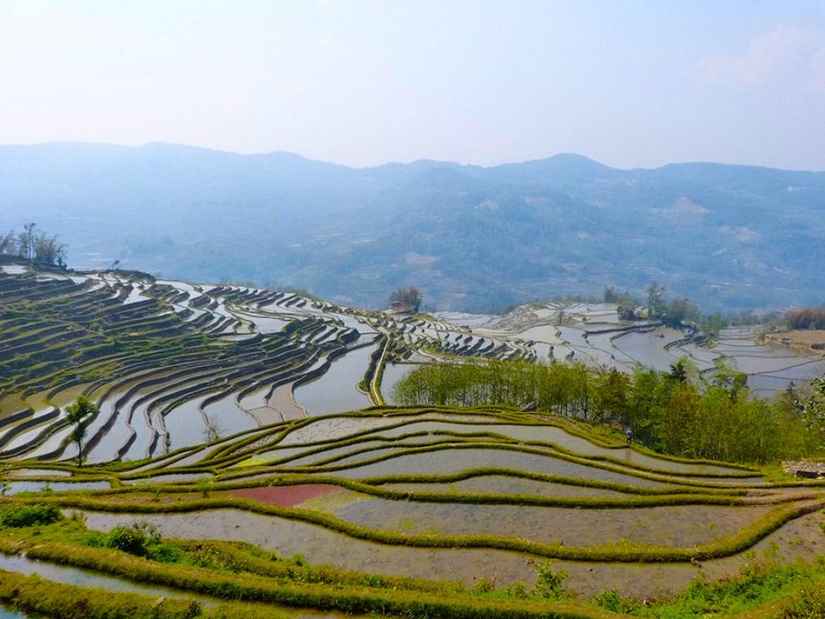Honghe Hani Rice Terraces inscribed on the UNESCO World Heritage List